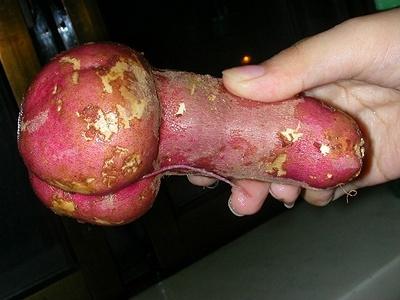 sexy%20vegetable.jpg