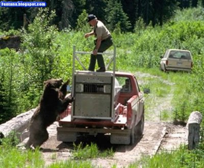 bear_attack_Good_reasons_why_you_shouldnt_mess_with_nature-s400x330-37725-580.jpg