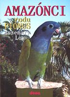 dona-amazonci-pionus.jpg