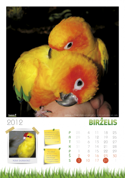 06_birzelis.png