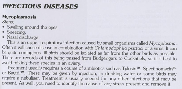 Mycoplasmosis.jpg