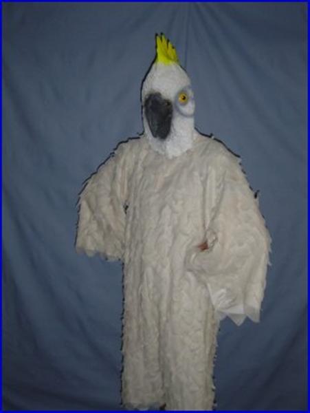 cockatoo (Medium).jpg